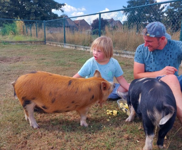 Mobirise Website Builder